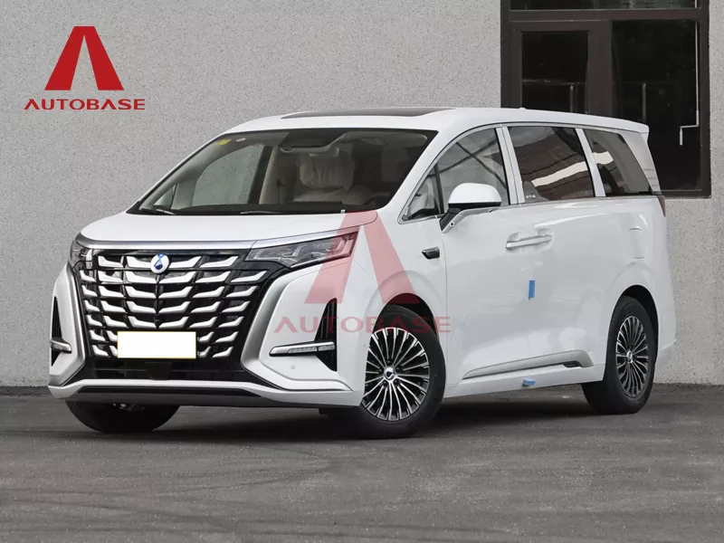 ডেনজা ডি9