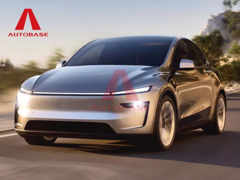 টেসলা মডেল ওয়াই